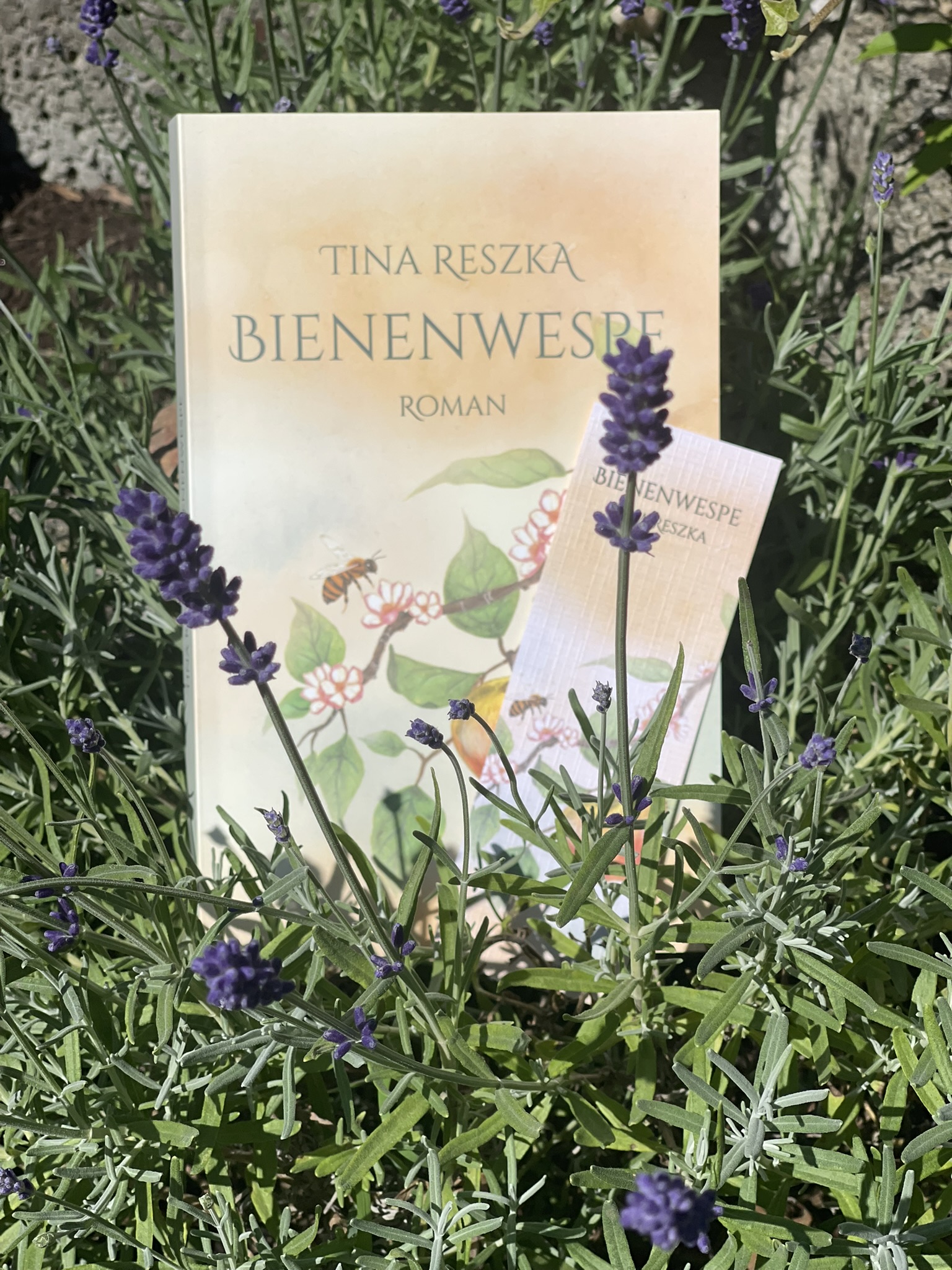 Das Buch im Gras zwischen Lavendel