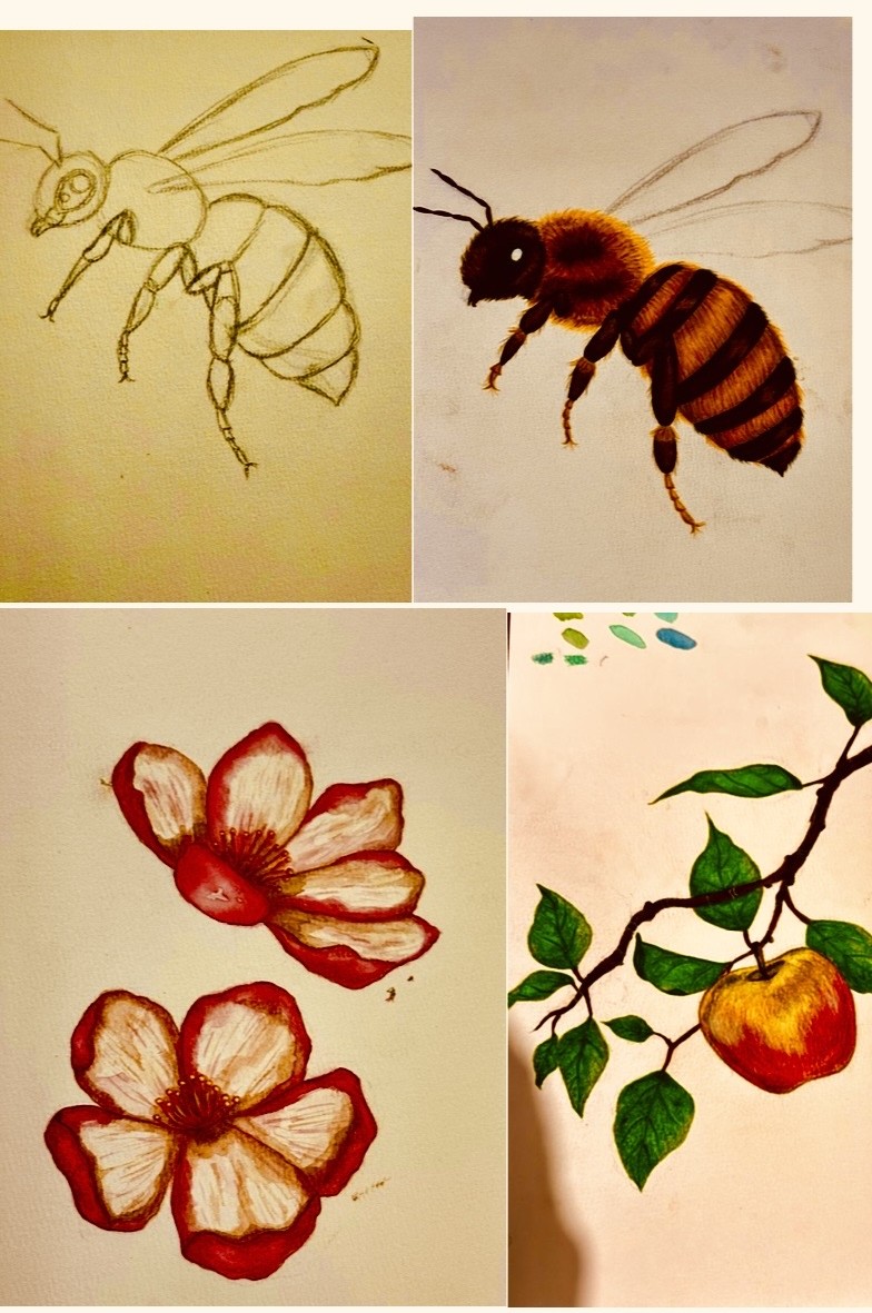 Erste Skizzen für das Buchcover